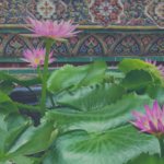 Bangkok Thailand Travel Guide