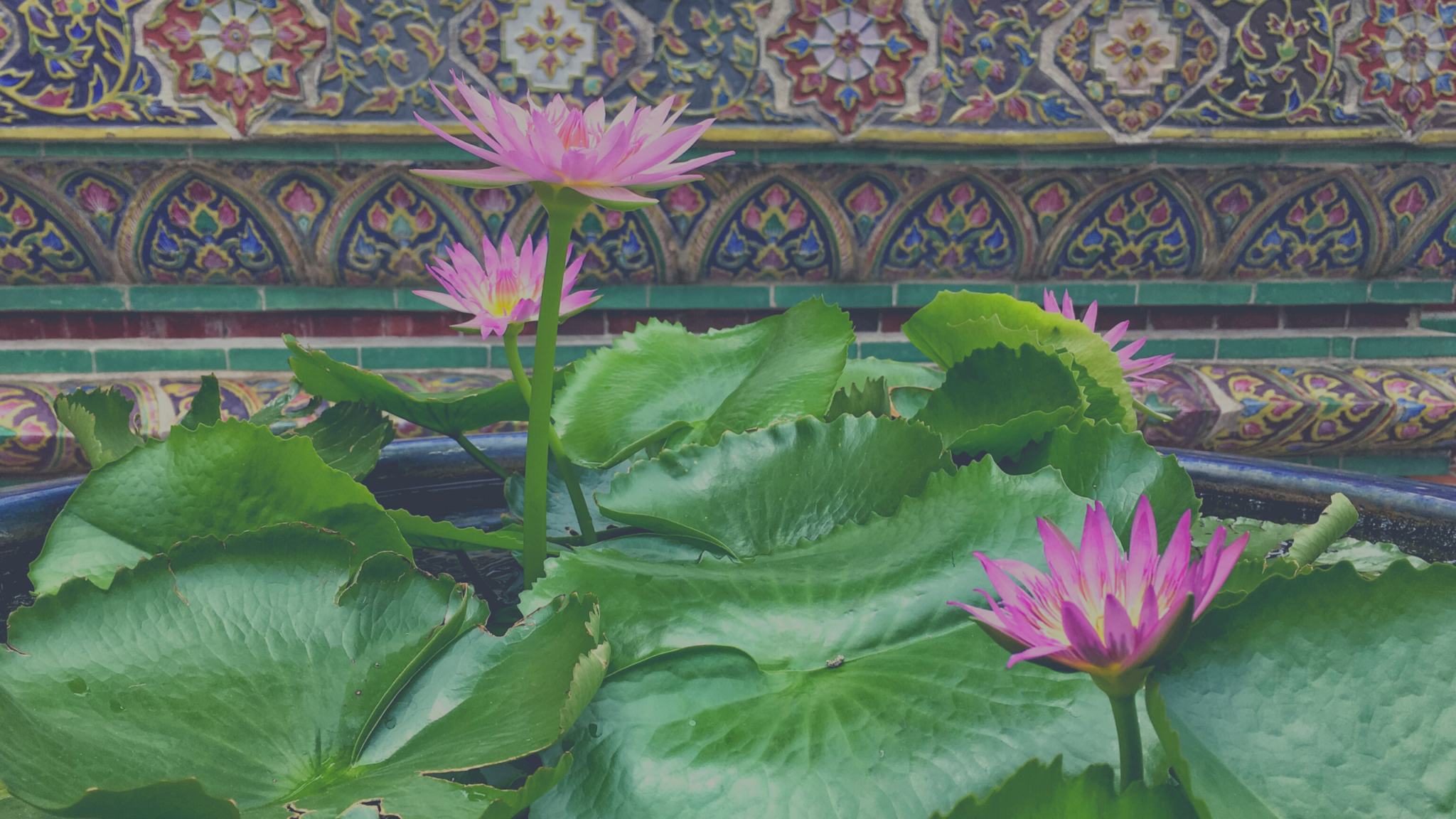 Bangkok Thailand Travel Guide