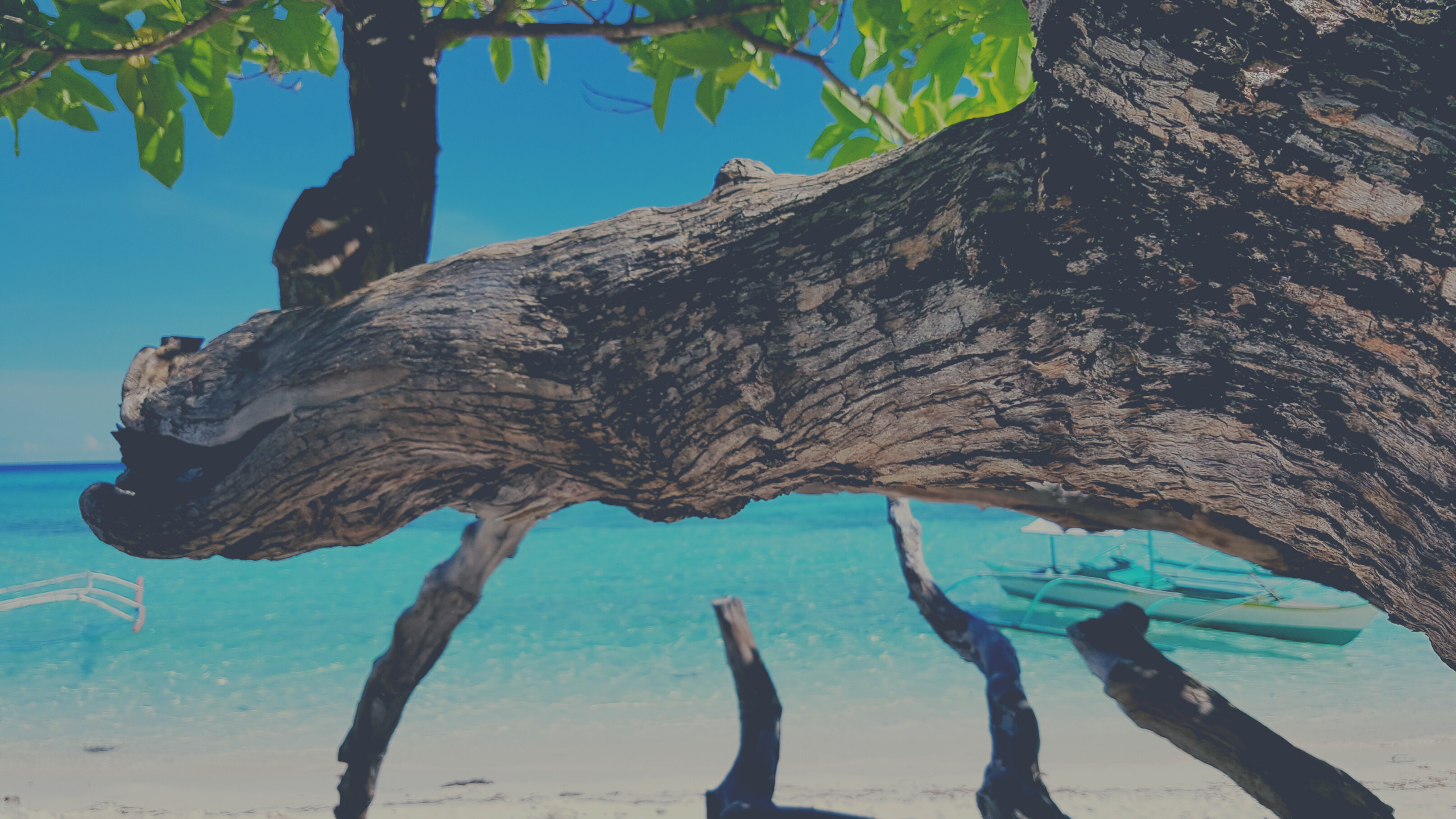 Coron Palawan Philippines Travel Guide