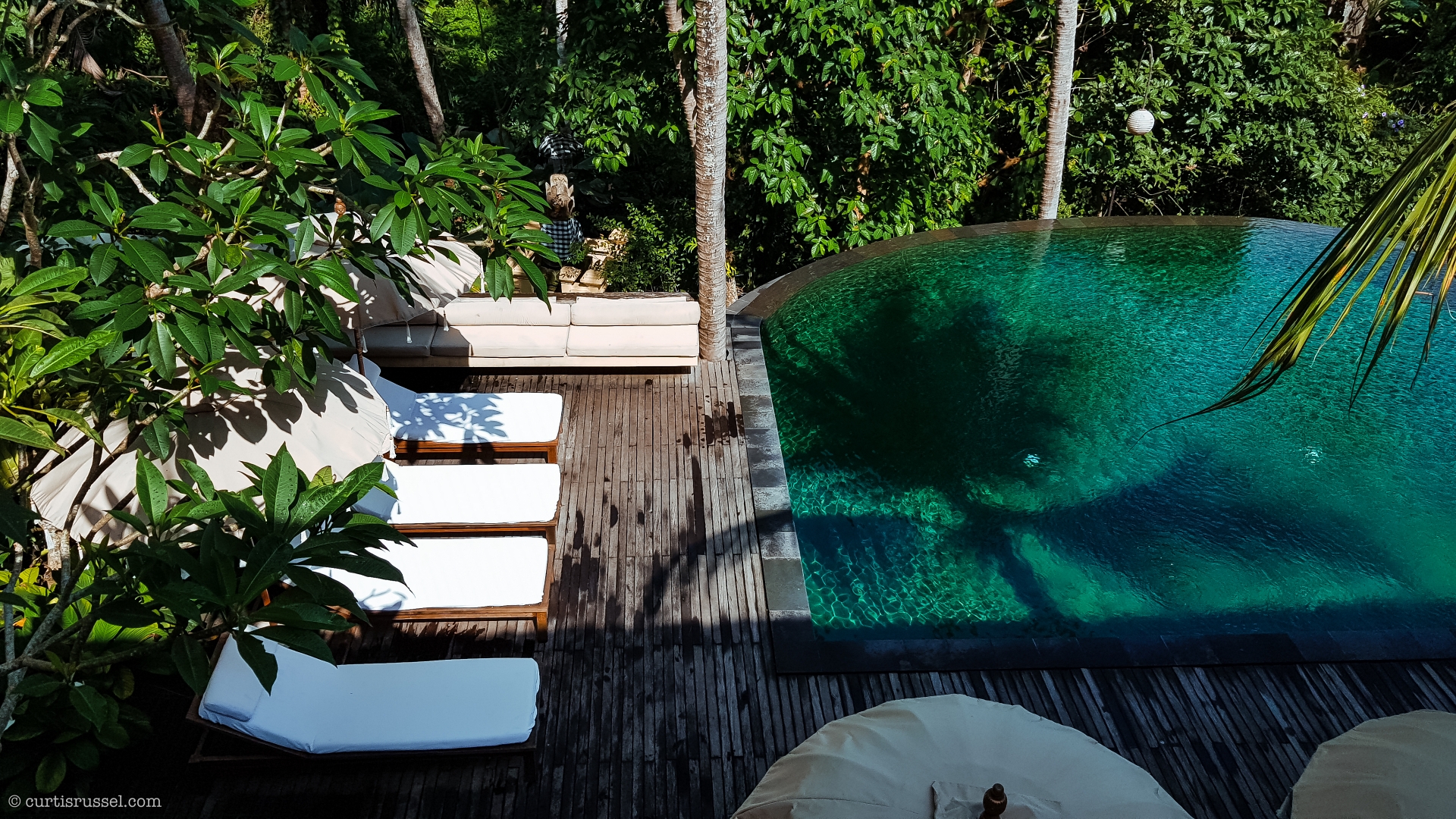 Bali Indonesia Travel Guide Bali Indonesia Ubud Pool Jungle