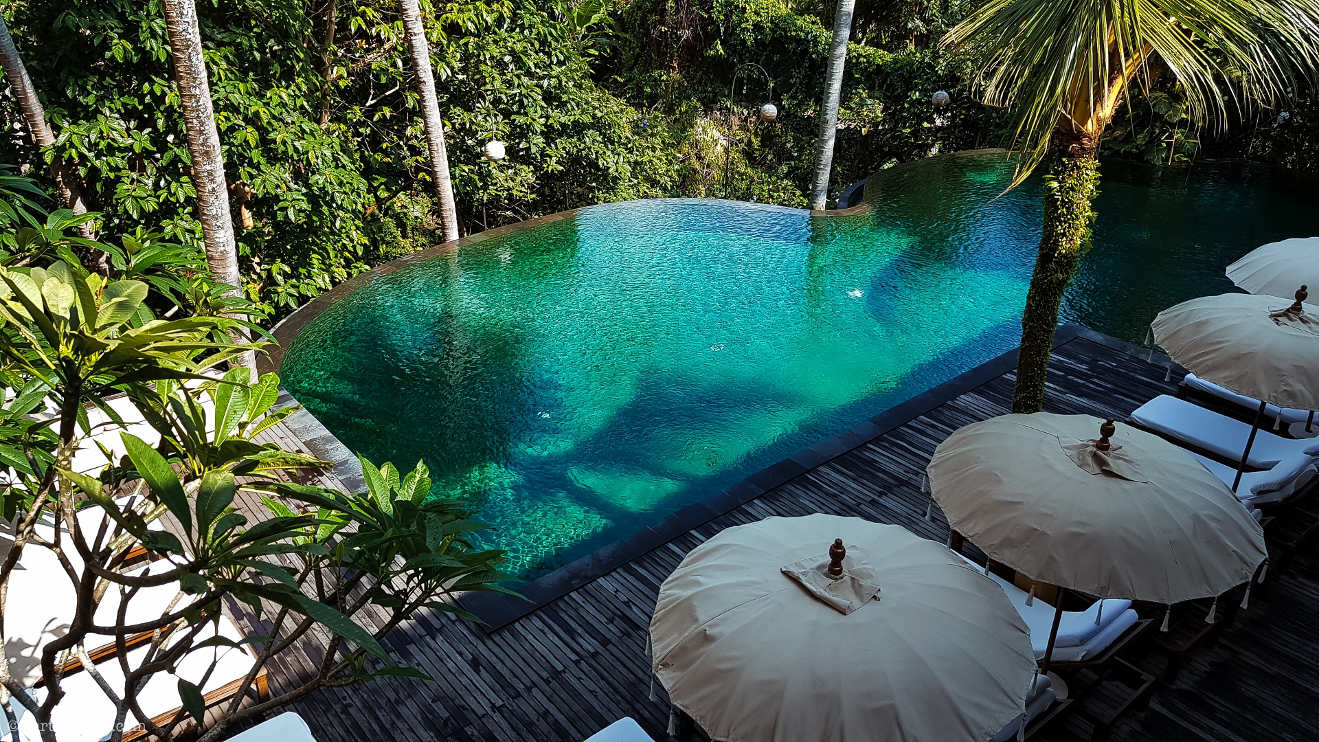 Bali Indonesia Travel Guide Ubud Pool By The Jungle