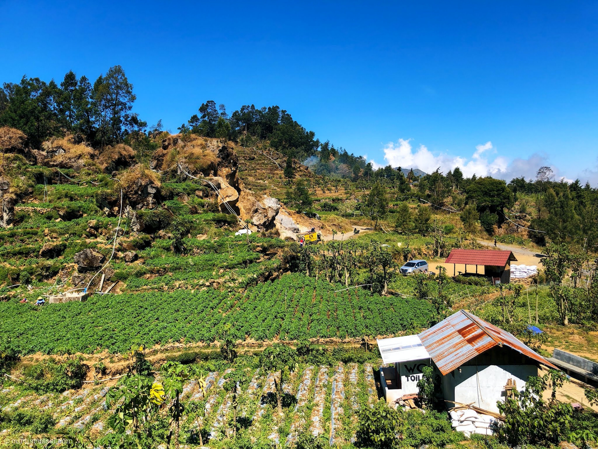 Dieng Plateau Indonesia Travel Guide Dieng Plateau Farmlands