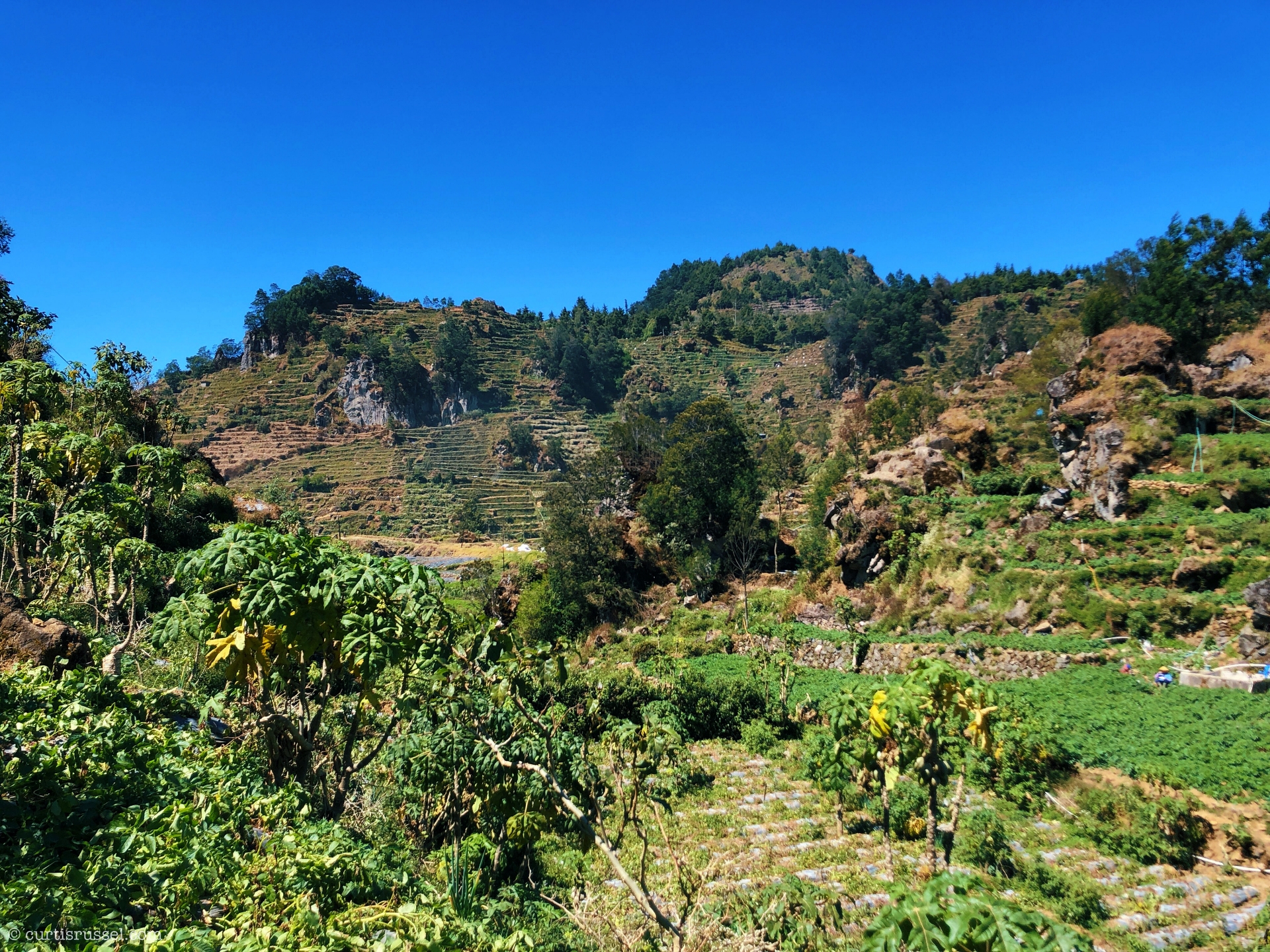 Dieng Plateau Indonesia Travel Guide Dieng Plateau Farmlands