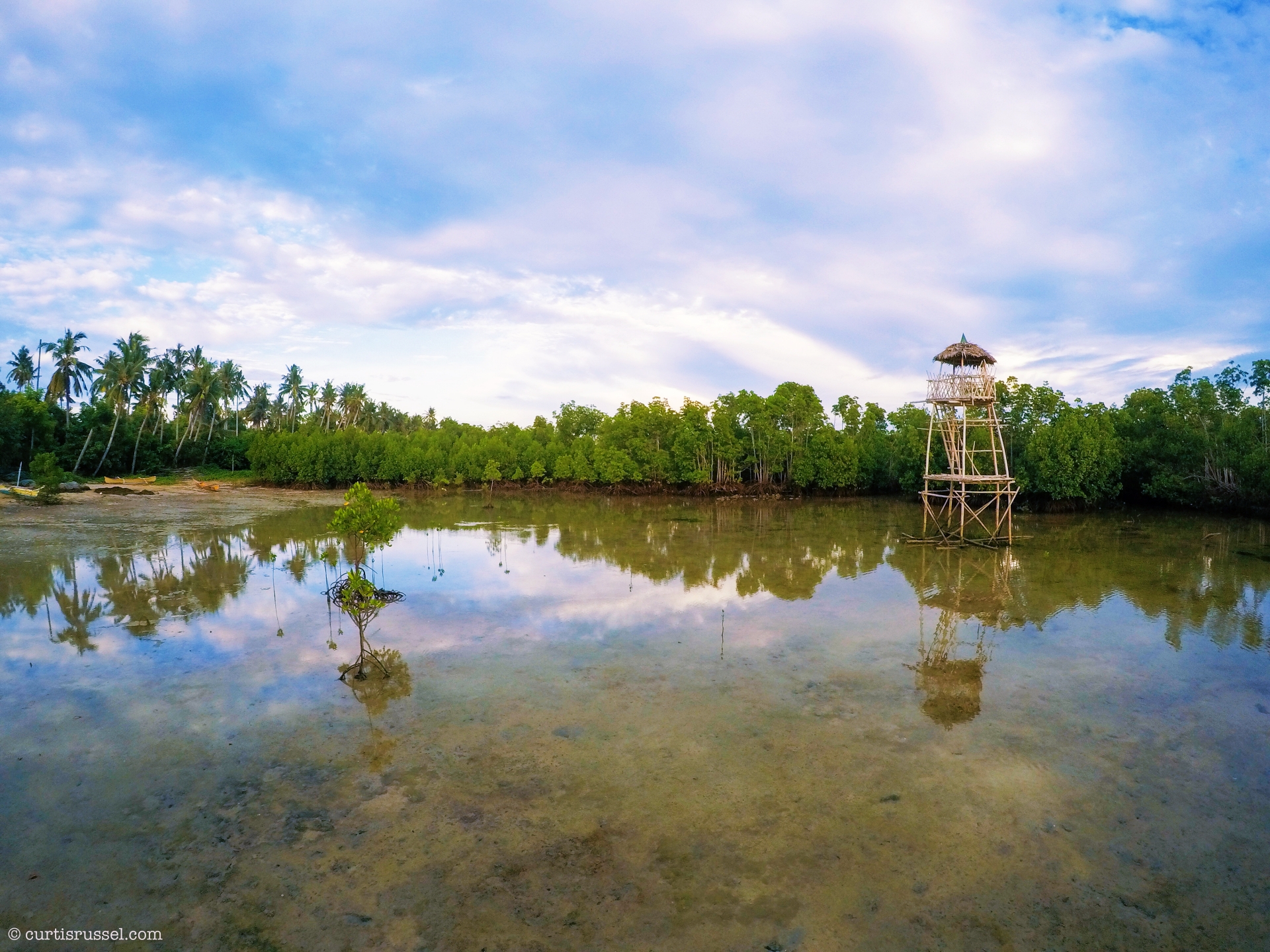 Omagieca Obo-ob Mangrove Garden, Bantayan Island