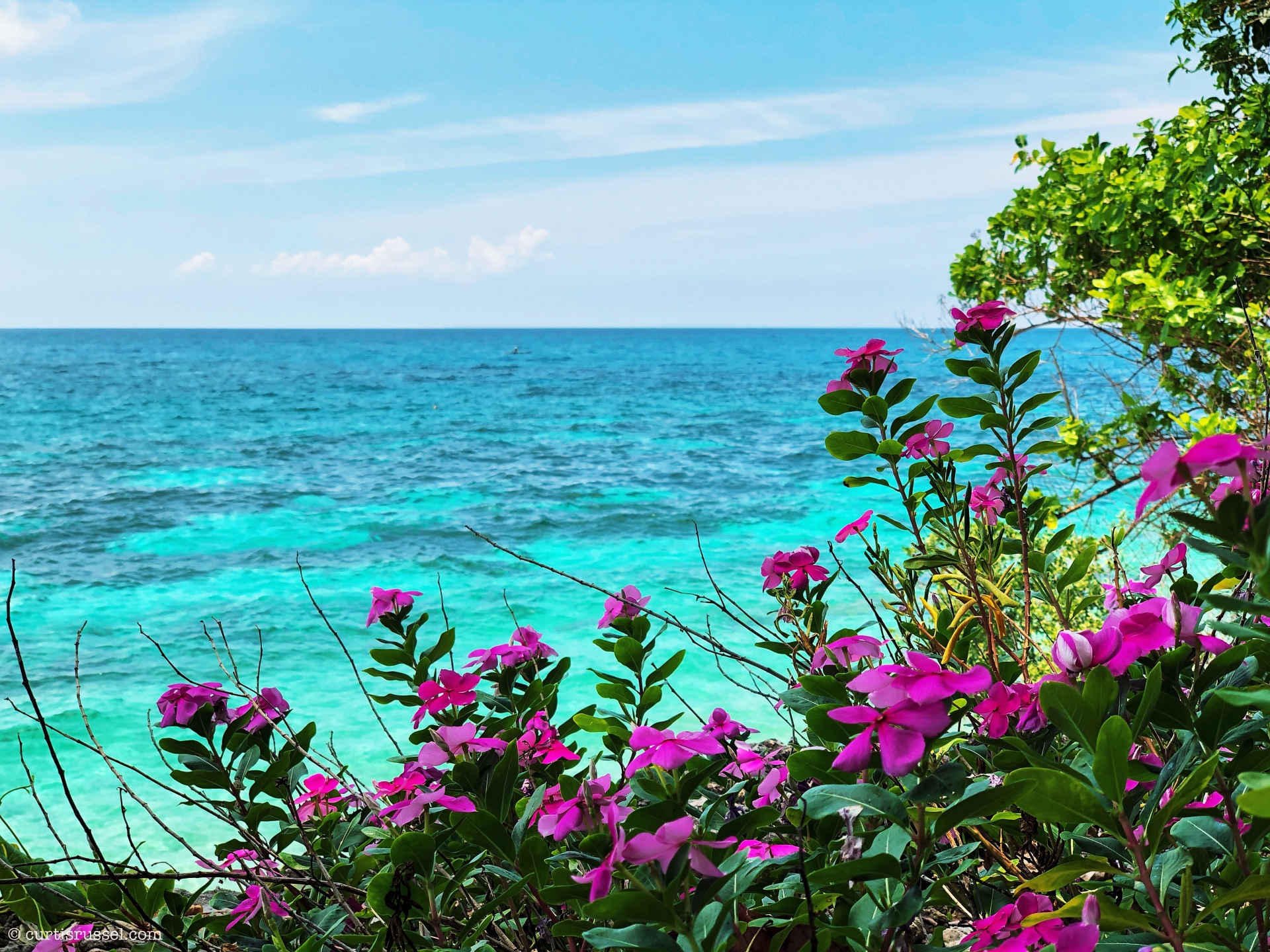 Malapascua Island Travel Guide