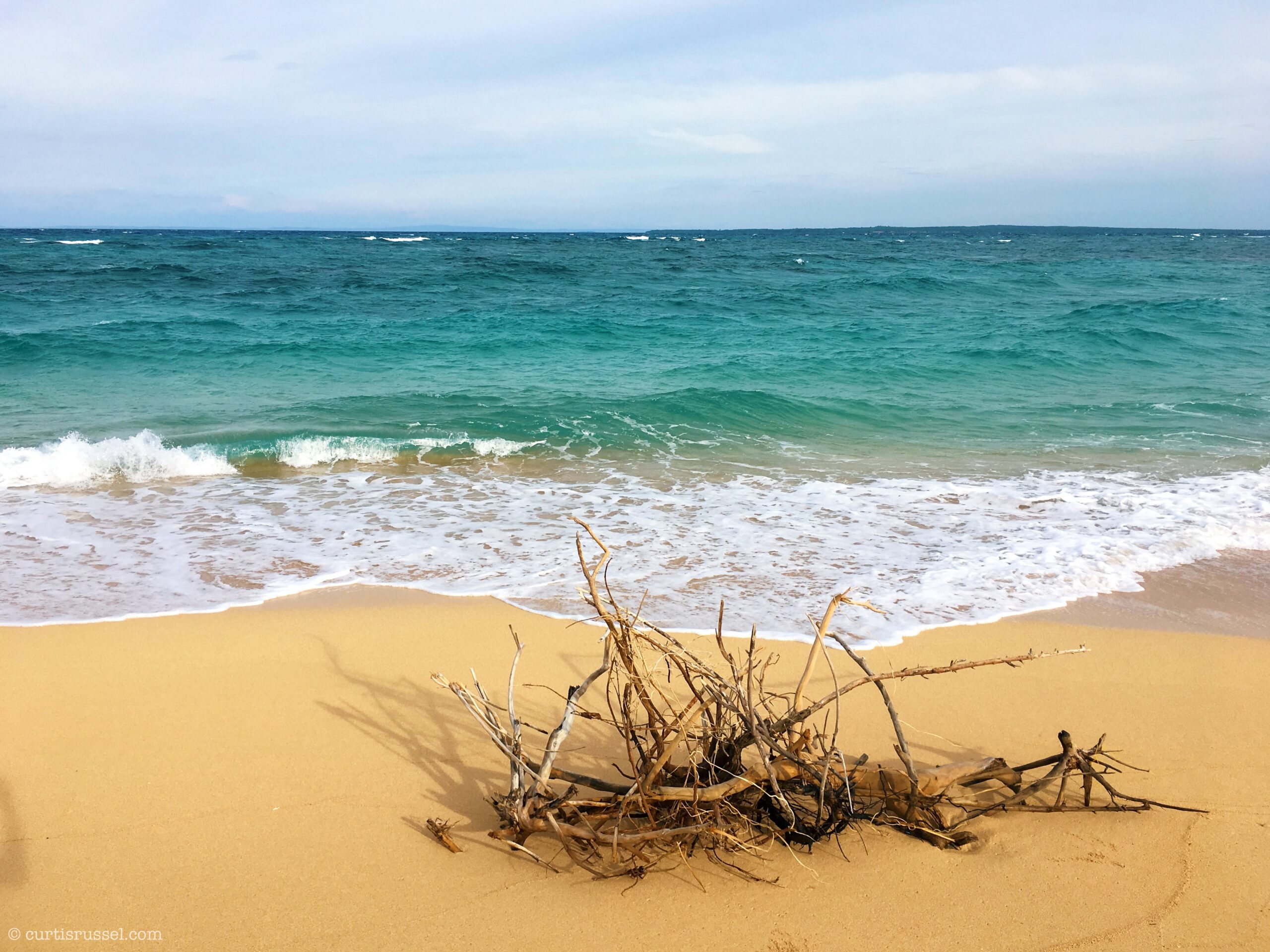Elnora Beach Resort Beach Front