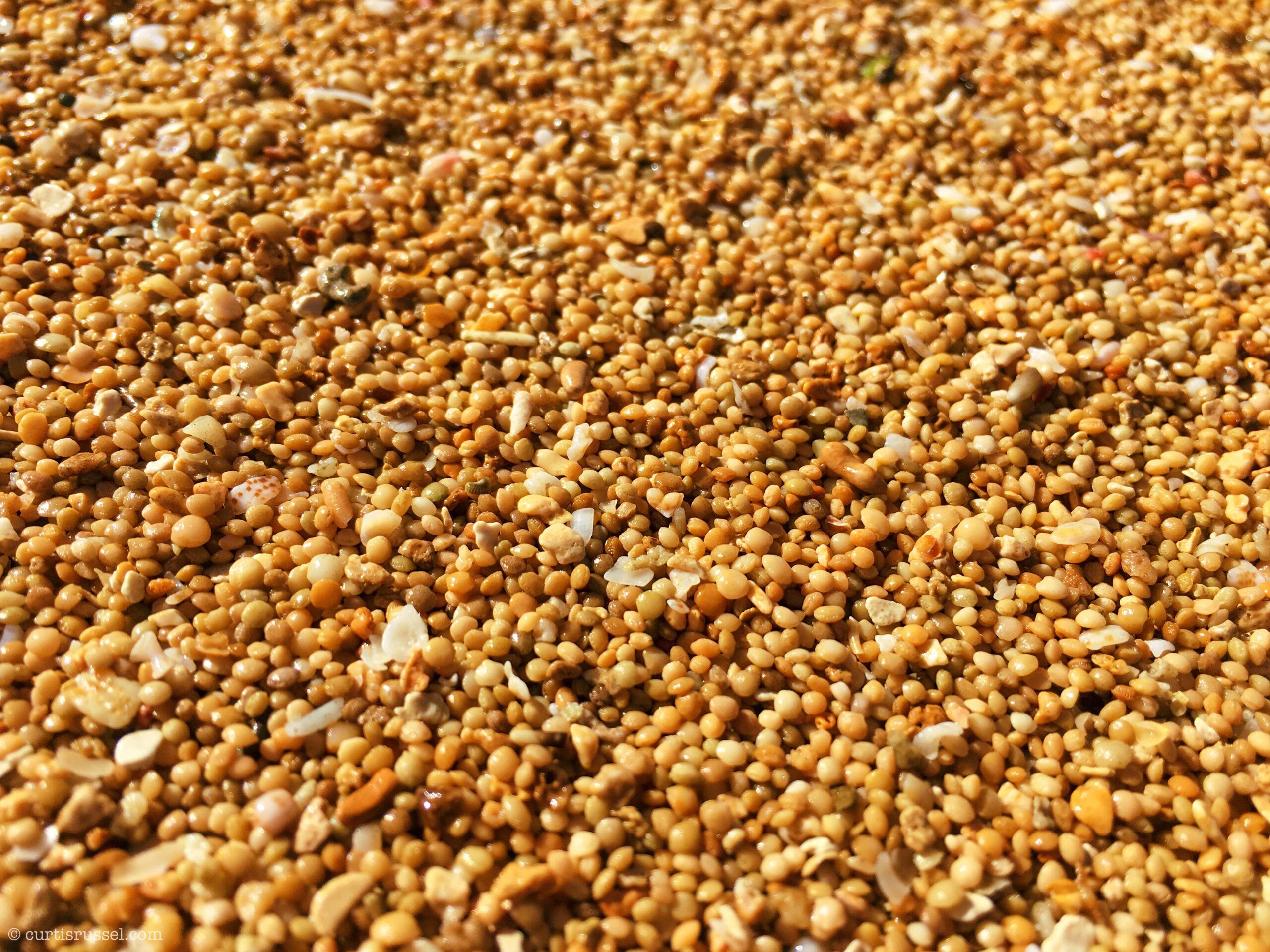 Sadong Golden Beach (Golden Sands), Jomalig Island